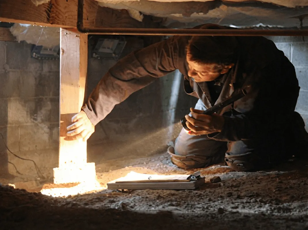 A professional inspecting wooden beams under the floor of a structure in Rochester, NY